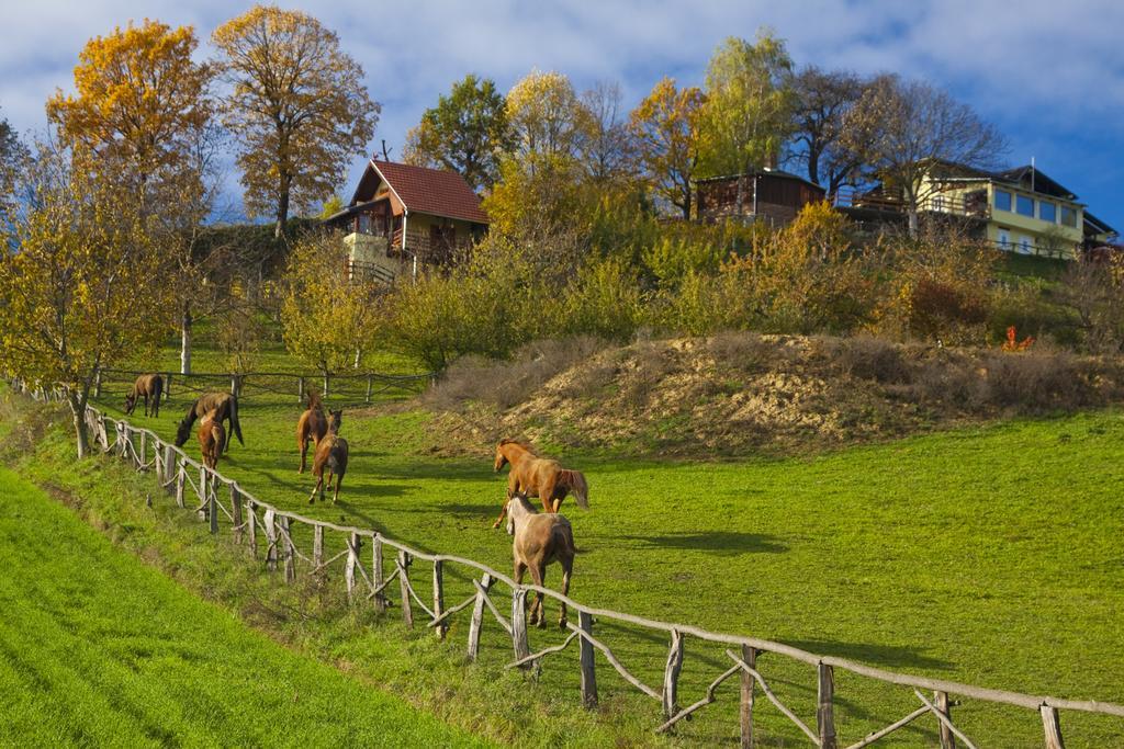 Country House Na Malenom Brijegu Bjelovar Δωμάτιο φωτογραφία