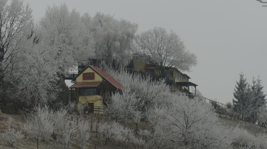Country House Na Malenom Brijegu Bjelovar Εξωτερικό φωτογραφία